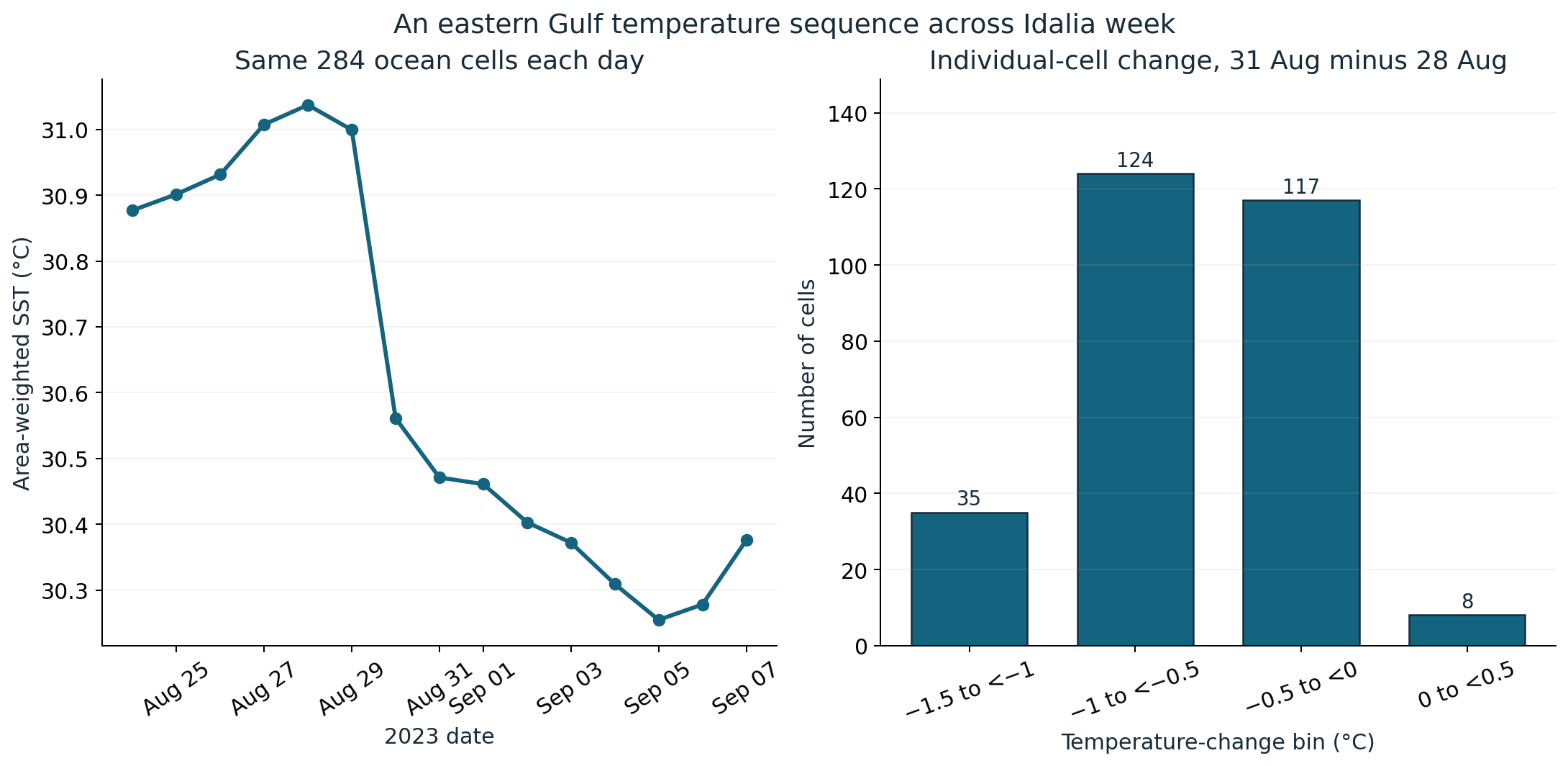 Left: daily area-weighted OISST means for the same 284 eastern Gulf ocean cells, 24 August–7 September 2023. Right: cell-change counts for 31 August minus 28 August: 35 below minus 1 degree Celsius, 124 from minus 1 to below minus 0.5, 117 from minus 0.5 to below zero, and 8 at or above zero.