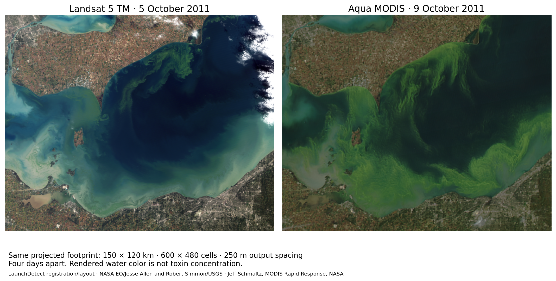 Western Lake Erie in a common map footprint: Landsat on October 5 shows narrow green filaments extending from the northern shore; MODIS on October 9 shows broader visible green patterns. Both panels include land, and neither encodes toxin concentration.